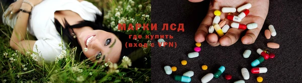 крисы Бугульма