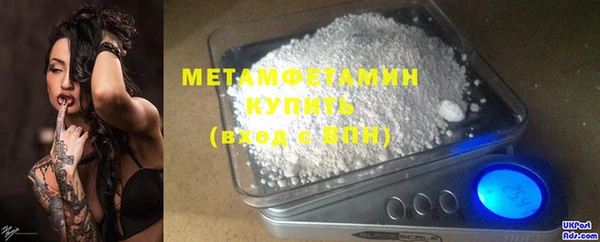 шишки Бородино