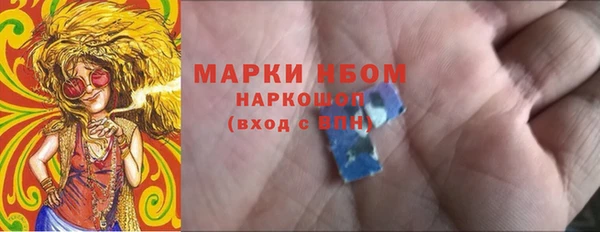 шишки Бородино