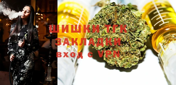 шишки Бородино