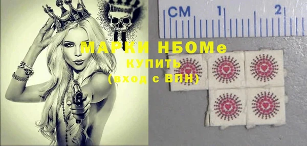 шишки Бородино