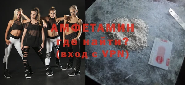шишки Бородино
